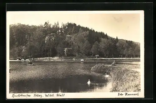 AK Iburg /Teutoburger Wald, Partie am Charlottensee