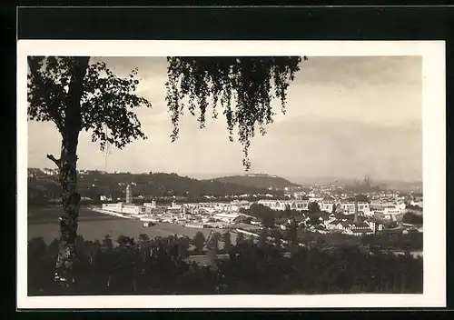 AK Brünn, Ausstellung, Panorama