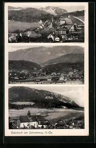 AK Grünbach am Schneeberg, Ortspartie mit Rosental und neuer Kolonie