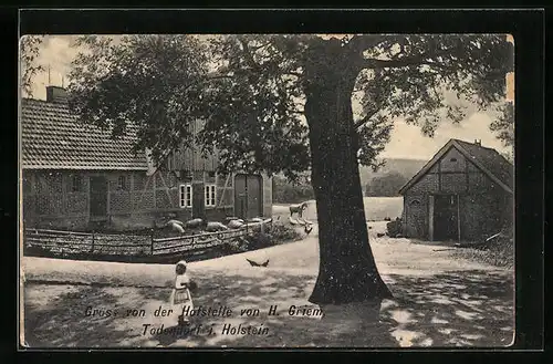 AK Todendorf i. Holstein, Hofstelle von H. Griem mit Mädchen