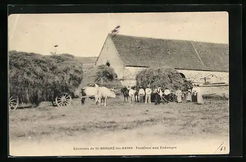 AK St-Honoré-les-Bains, Fenaison aux Endanges