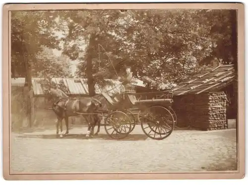 Fotografie unbekannter Fotograf und Ort, Kutscher auf seiner Kutsche gibt den Pferden die Peitsche