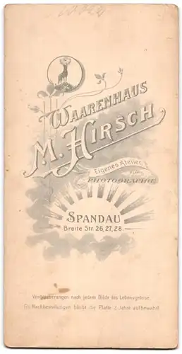 Fotografie M. Hirsch, Spandau, Breite St. 26-28, rundliche Dame im Kleid mit Federhut und Flanierstock