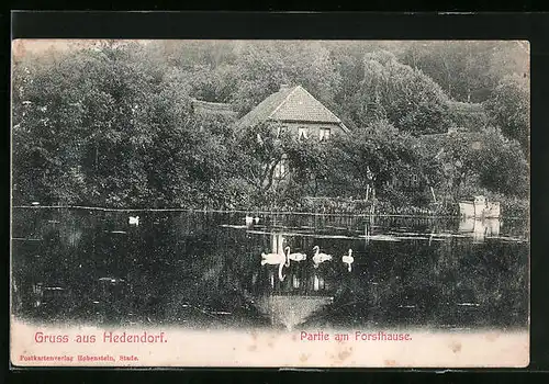 AK Hedendorf, Partie am Forsthause mit Schwänen und Waldrestaurant Walhalla
