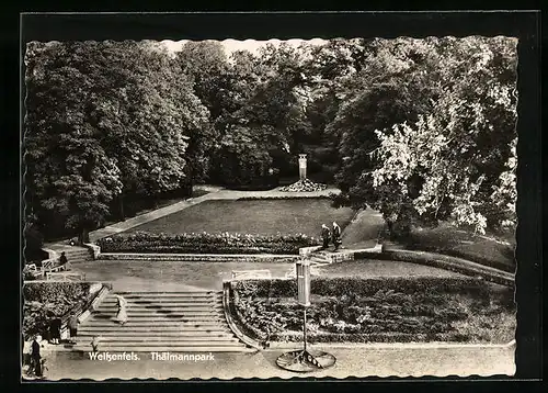 AK Weissenfels, Thälmannpark mit breiter Steintreppe