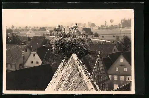 AK Murr, Storchennest auf dem Dach