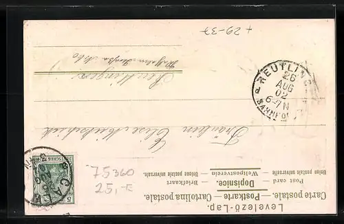 Passepartout-Lithographie Calw, Teilansicht von süden, Wappen und Fahne