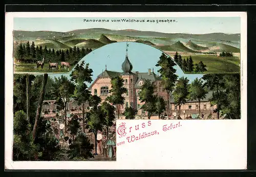 Lithographie Erfurt, Gasthaus Waldhaus, Panorama