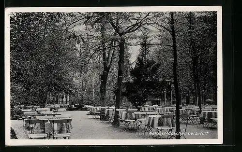 AK Erfurt, Gasthaus Waldschlösschen (Gastgarten)