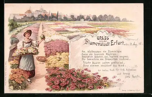 Lithographie Erfurt, Blumenmädchen in Tracht sammelt Blumen auf Blumenfeldern