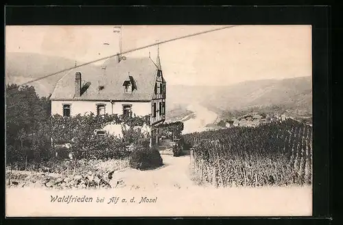 AK Alf /Mosel, Hotel-Pension Waldfrieden