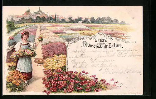 Lithographie Erfurt, Blumenbeete und Frau mit Korb