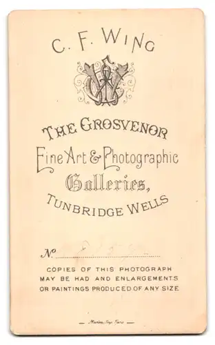 Fotografie C. F. Wing, Tunbridge Wells, Bürgerliche Dame mit Kreuzkette