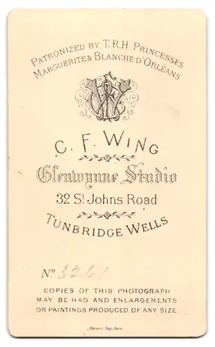 Fotografie C. F. Wing, Tunbridge Wells, Junge Dame in hübscher Kleidung