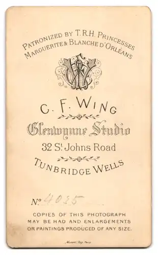 Fotografie C. F. Wing, Tunbridge Wells, 32, St. Johns Road, Junger Herr im Anzug mit Krawatte