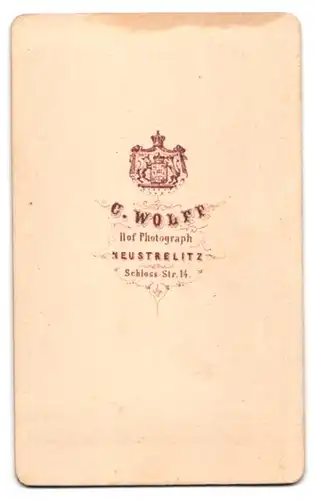 Fotografie C. Wolff, Neustrelitz, Schlossstr. 14, Portrait maskuline Dame im Biedermeierkleid