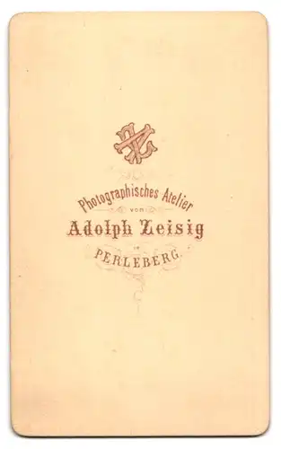 Fotografie Adolph Zeisig, Perleberg, Portrait Edelmann mit Zappa Bart im Anzug