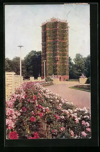 AK Dresden, Jubiläums-Gartenbau-Ausstellung, 1926, Blick vom Riesengrossen Rosengarten