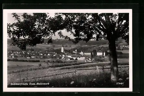 AK Gnas, Gesamtansicht mit Baum