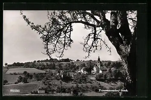 AK Trautmannsdorf, Ortsansicht aus der Vogelschau