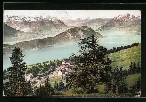 AK Rigi Kaltbad, Ortsansicht mit Blick über den See