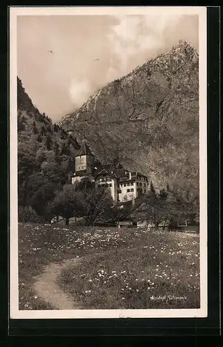 AK Wimmis, Schloss mit Bergpanorama
