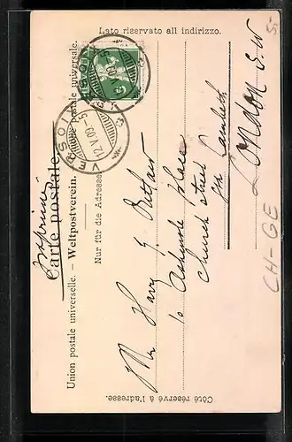 AK Genève, Tour de I`lle