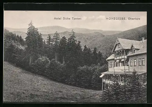 AK Hohegeiss /Oberharz, Hotel Dicke Tanne