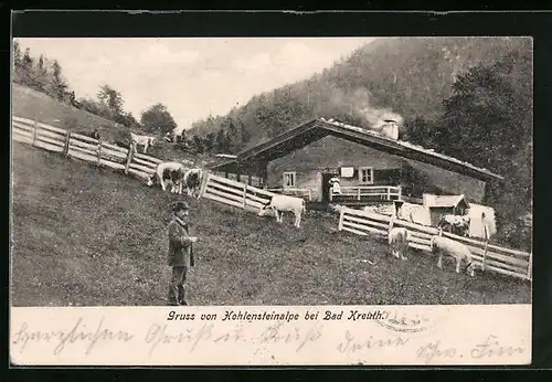 AK Bad Kreuth, Vieh auf der Hohensteinalpe vor einer Hütte