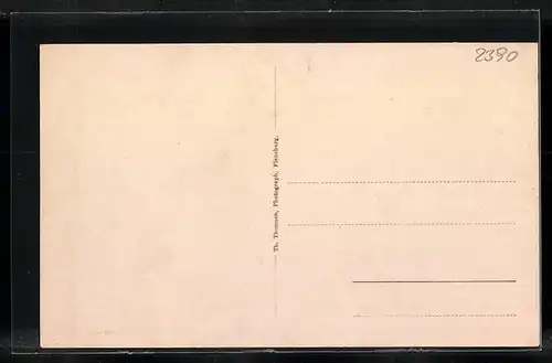 AK Flensburg, Auguste-Victoria-Schule, Lyceum nebst Oberlyceum aus der Vogelschau