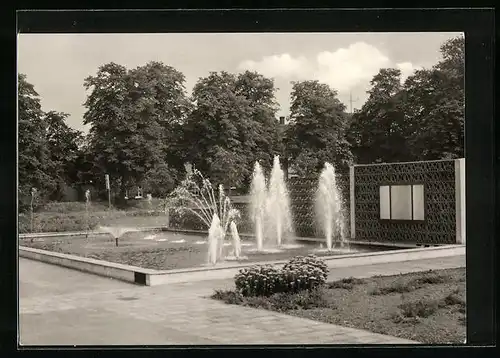 AK Bitterfeld, Springbrunnen, Stadtpark