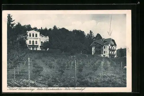 AK Bad Gleichenberg, Villa Plankenstein und Villa Rosenhof
