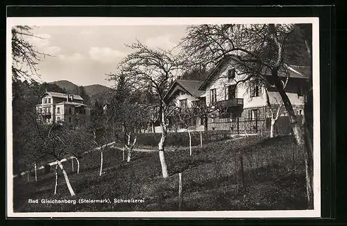 AK Gleichenberg, Schweizerei mit Häuseransichten