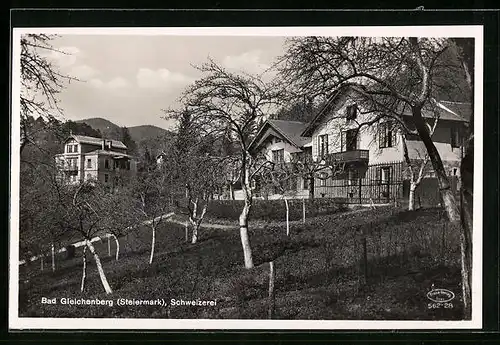 AK Bad Gleichenberg, Streuobstwiese vor Gebäuden