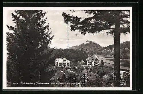 AK Gleichenberg, Rosenhof und Villa Plankenstein