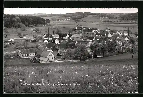 AK St. Margarethen a. d. Raab, Ortsansicht mit Blick über die blühenden Felder