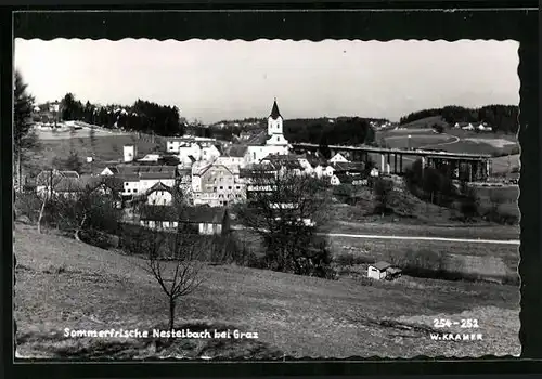 AK Nestelbach bei Graz, Ortsansicht mit Blick zur Kirche