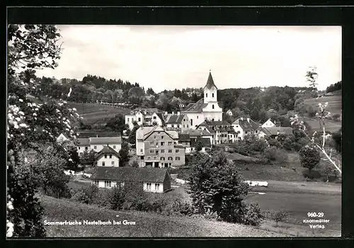 AK Nestelbach, Ortsansicht mit Blick zur Kirche im Sommer