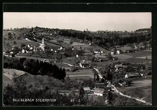 AK Nestelbach, Ortsansicht mit Blick über die Felder