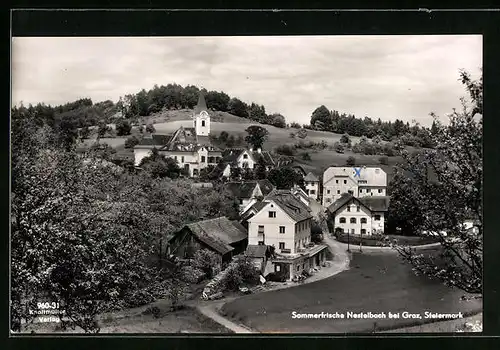 AK Nestelbach, Ortsansicht mit Kirche im Sommer