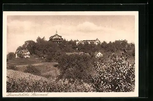 AK Lassnitzhöhe, Ortsansicht mit Blick ins Grüne