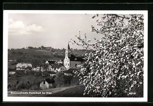 AK Nestelbach, Ortsansicht mit blühendem Baum