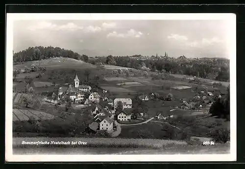 AK Nestelbach, Ortsansicht mit Kirche