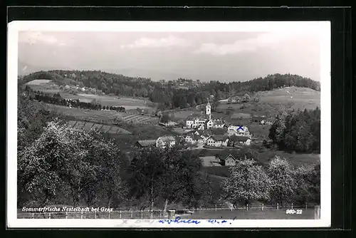 AK Nestelbach, Ortsansicht mit Blick zur Kirche