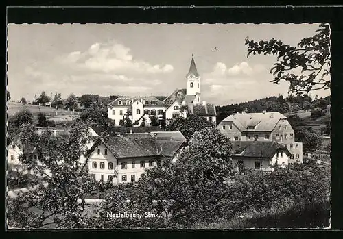 AK Nestelbach, Blick zur Kirche im Sommer