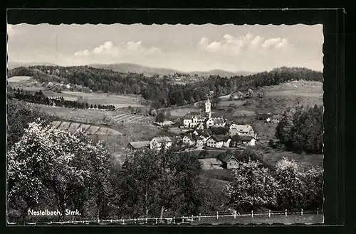 AK Nestelbach, Ortsansicht im Sommer