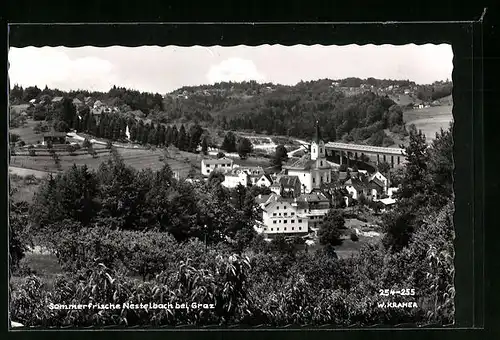 AK Nestelbach, Totalansicht mit Blick zur Kirche