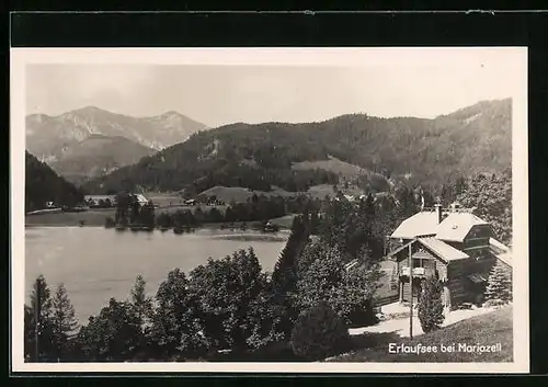 AK Erlaufsee bei Mariazell, Panoramaansicht mit Blick über den See