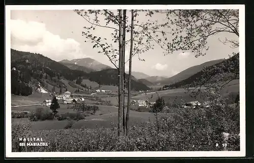 AK Halltal bei Mariazell, Blick zum Ort im Sommer