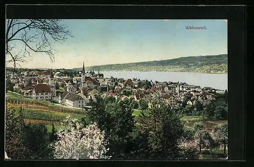 AK Wädenswil, Gesamtansicht